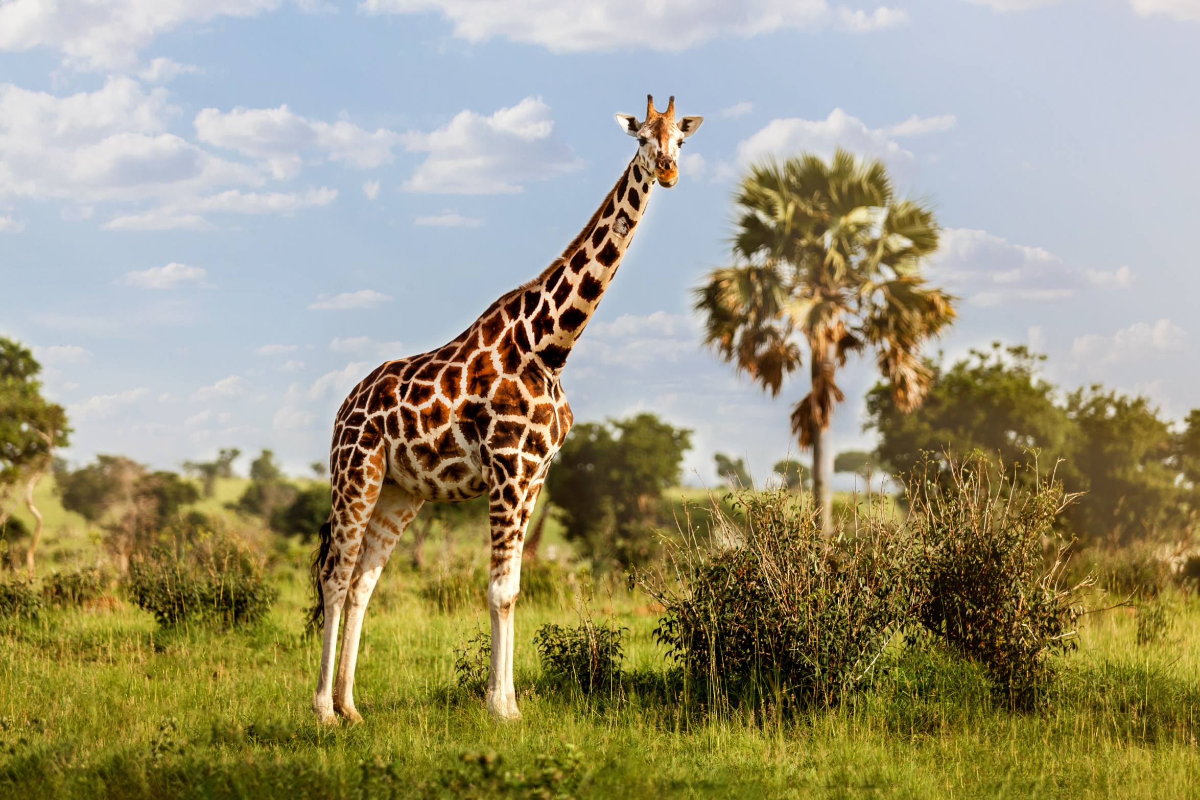 AdobeStock_335109765