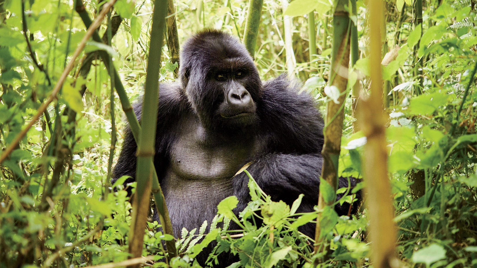 MAG-April17-rwanda