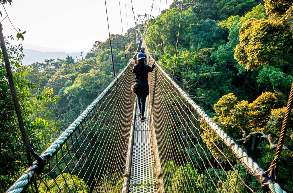 6-Days-Nyungwe-National-Park-and-Lake-Kivu-Safari-1024x675-1.jpg