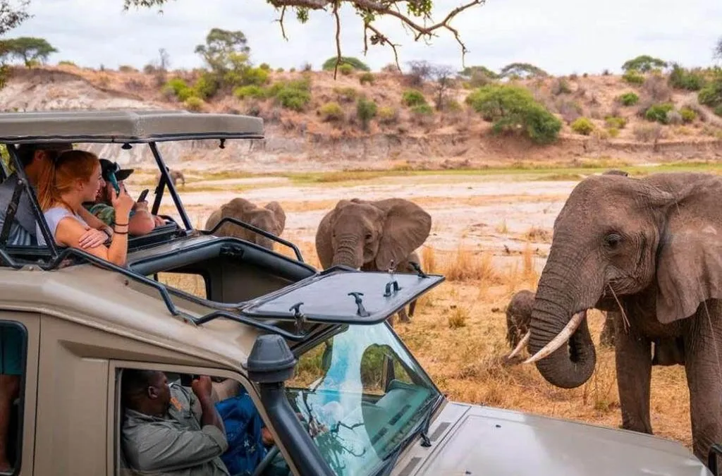 9-Day-Kenya-Safari-Adventure-1024x675