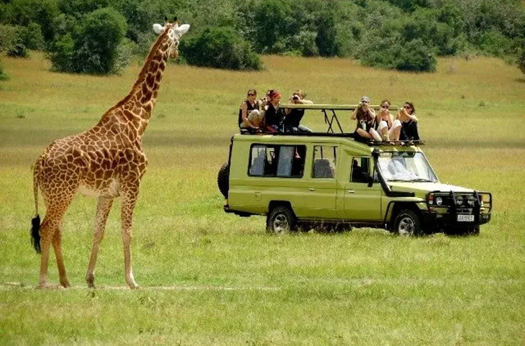 Road-Trip-Safari-from-Kampala-to-Masai-Mara.webp-1024x675