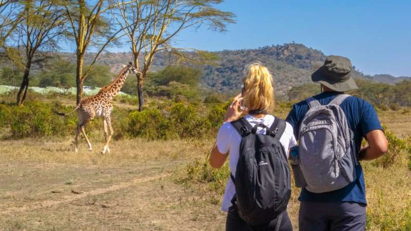 lake-naivasha-walking-giraffe-cropped-1