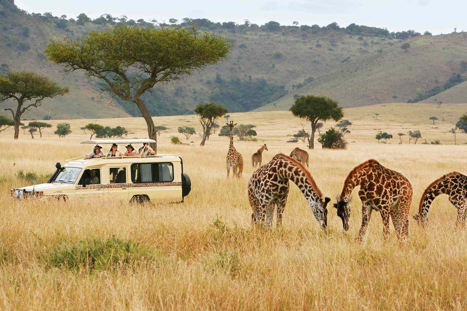 safari-truck-giraffes-micato-safaris-SAFARIGUIDETIPS0721-2549bb165aa34dc193cb8b6f3958654b