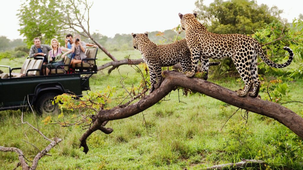south-africa1-1024x576