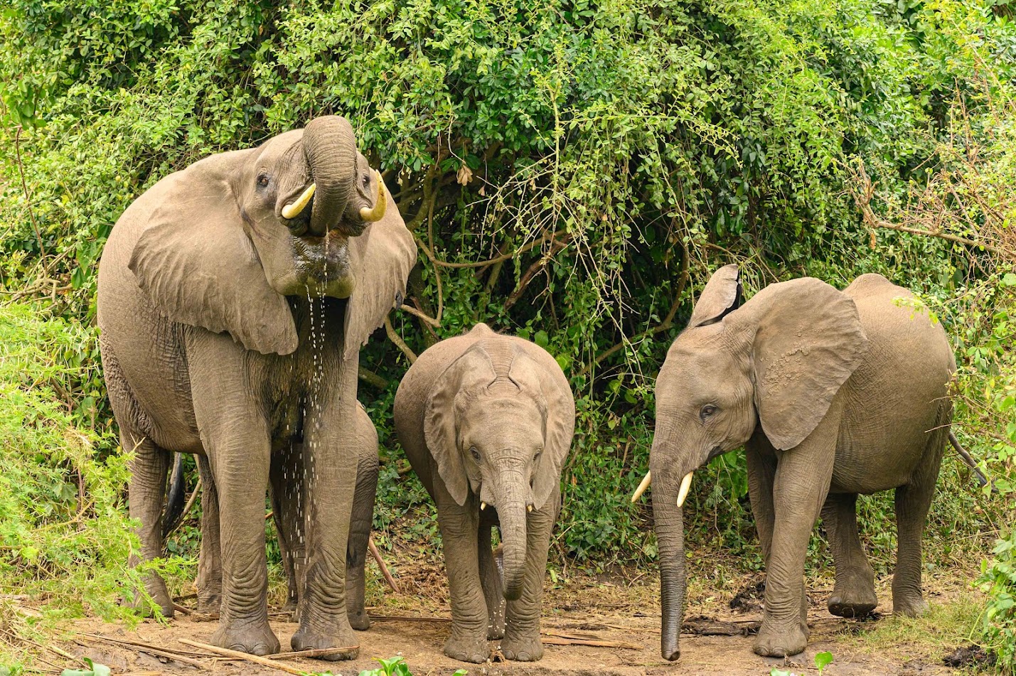 Uganda Jan 2024-LR-139
