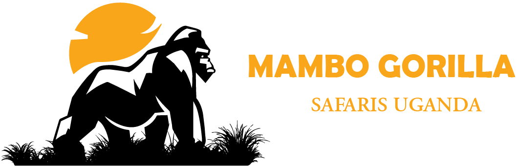 mambo gorilla safaris