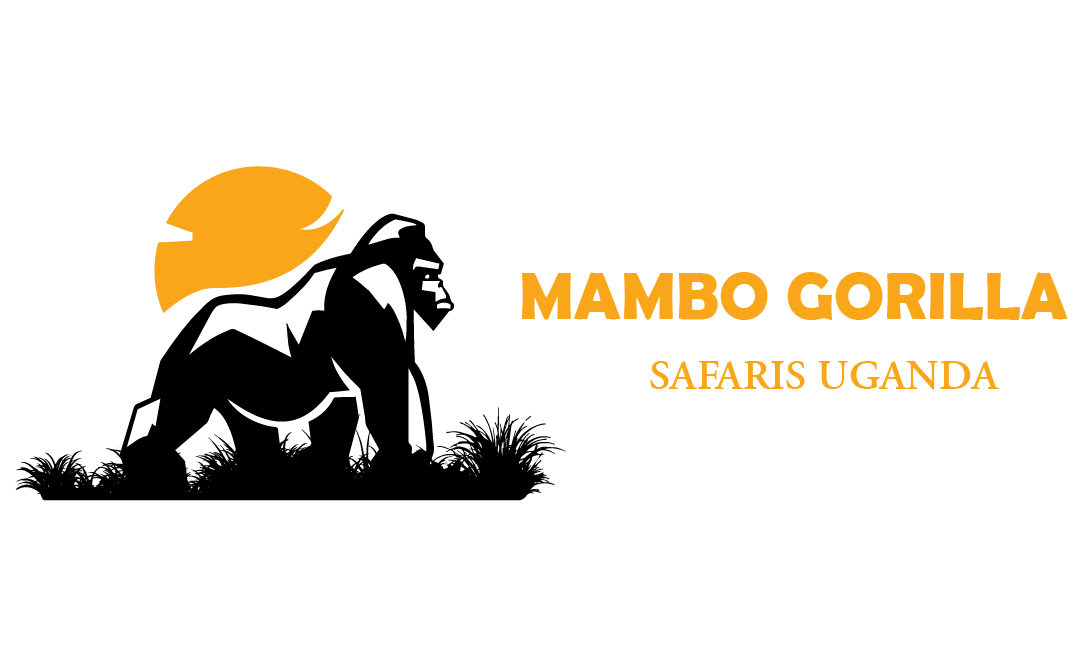 mambo gorilla safaris