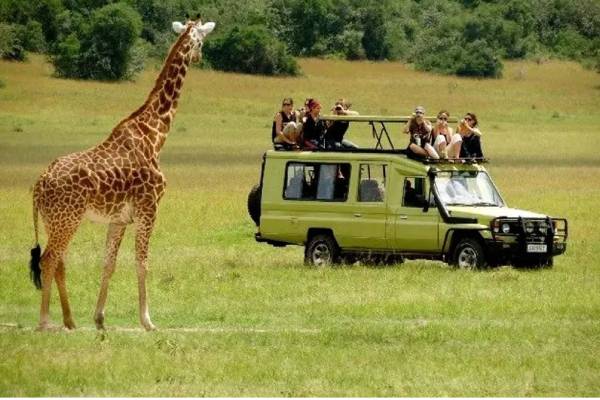 Kenya & Tanzania Safari 