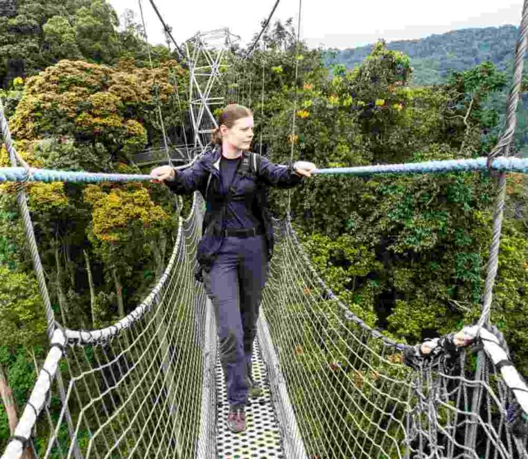 Nyungwe-canopy-walk
