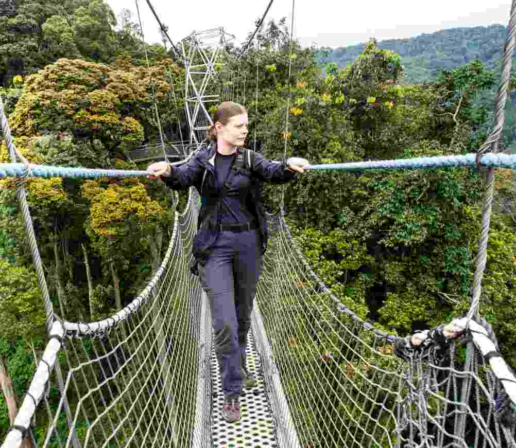 Nyungwe-canopy-walk