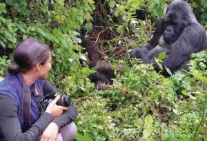 Fly-in Rwanda gorilla safari in Volcanoes National Park