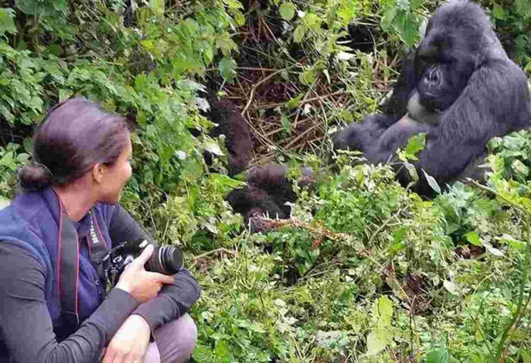 Fly-In Rwanda Gorilla Safaris: Complete Guide to Gorilla Trekking from Kigali