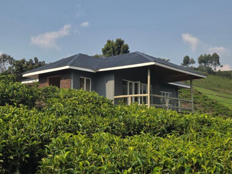 Mukiza-Gorilla-Lodge