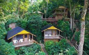 Bakiga Lodge in Ruhija Sector of Bwindi Impenetrable National Park Uganda