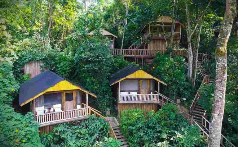 Bakiga Lodge Ruhija Sector of Bwindi: Complete Guide for Gorilla Trekkers