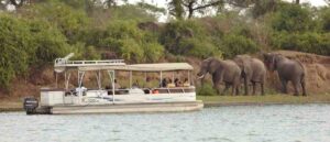 Travelers enjoying a last-minute Uganda safari with Mambo Gorilla Safaris