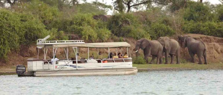 Travelers enjoying a last-minute Uganda safari with Mambo Gorilla Safaris