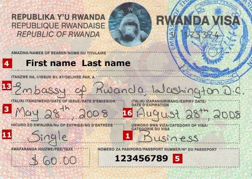 Rwanda visa application and requirements for a gorilla trekking safari