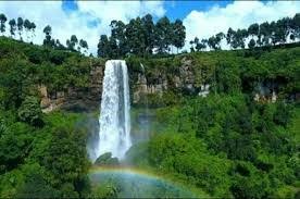 Hikers exploring Mount Elgon National Park in Uganda