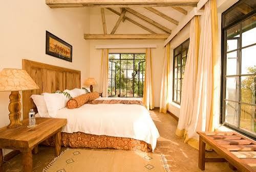 Affordable safari campsite near Bwindi Impenetrable National Park in Uganda