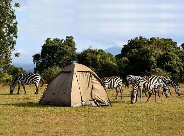 Budget Tanzania safari with elephants and safari vehicles in Tarangire National Park