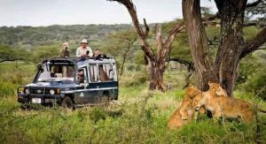 East Africa safari with elephants and giraffes on the African savannah
