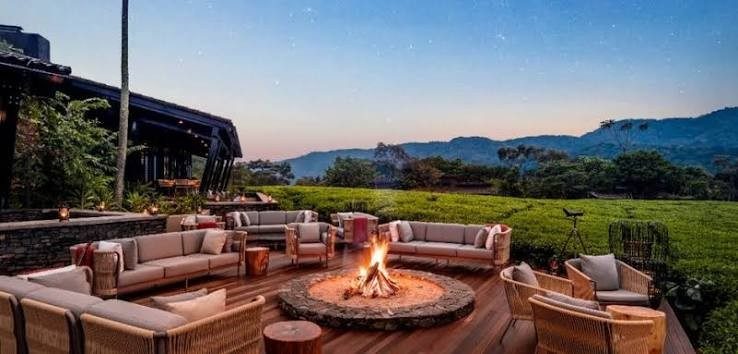 Luxury gorilla trekking holiday in Uganda with mountain gorillas in Bwindi Impenetrable National Park