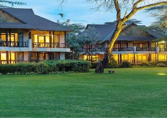 Boat safari on Lake Naivasha in Kenya with hippos and waterbirds near the shore