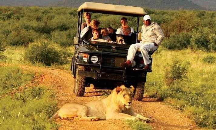 Off-season safari in Uganda with elephants in a lush green national park landscape
