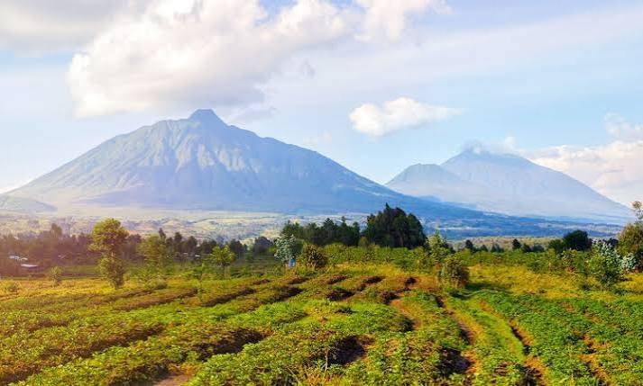 Virunga volcanic ranges and forested water catchment landscape near Mgahinga Gorilla National Park in Uganda