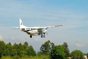 Fly-in or driving safari to Bwindi Impenetrable National Park for mountain gorilla trekking in Uganda