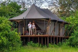 Romantic Rwanda honeymoon featuring mountain gorilla trekking, a luxury lodge and sunset views over Lake Kivu