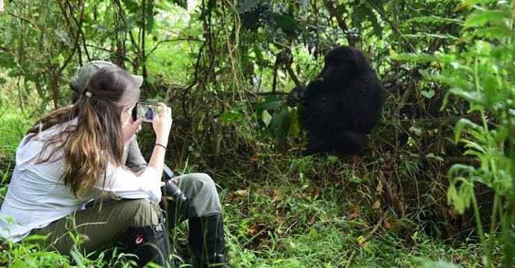 Traveler participating in a community conservation activity during a Uganda gorilla trek