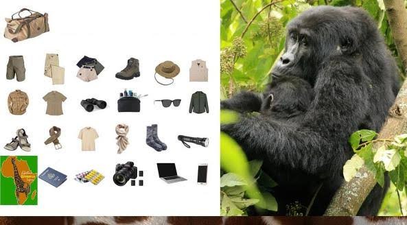Gorilla trekking packing list for Bwindi Impenetrable National Park, Uganda