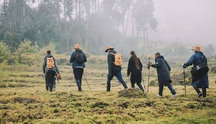 Mountain gorilla trekking and village walk in Buhoma Uganda