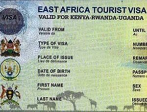 East Africa Tourist Visa for Uganda Rwanda and Kenya safari