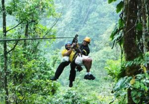 Mabira Forest rainforest trail and wildlife in Uganda