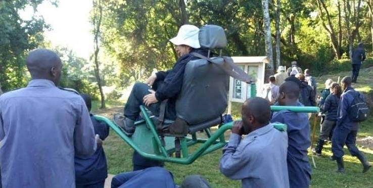 Porters carrying a visitor in a sedan chair during gorilla trekking in Bwindi Forest, Uganda