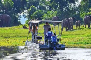Travelers enjoying a wildlife safari in Uganda with African elephants in the savannah