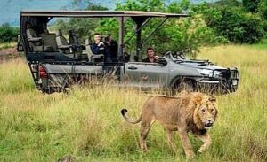 African wildlife photographed during a photography safari in Akagera National Park, Rwanda