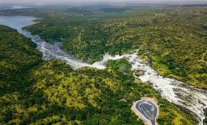 Tourists viewing wildlife during a safari in Murchison Falls National Park, Uganda