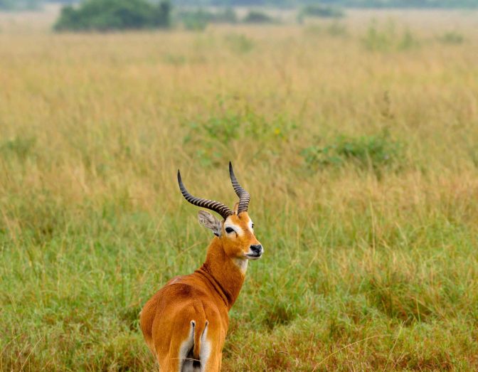 Uganda Jan 2024-LR-90